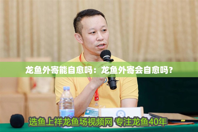 龍魚外寄能自愈嗎：龍魚外寄會自愈嗎？