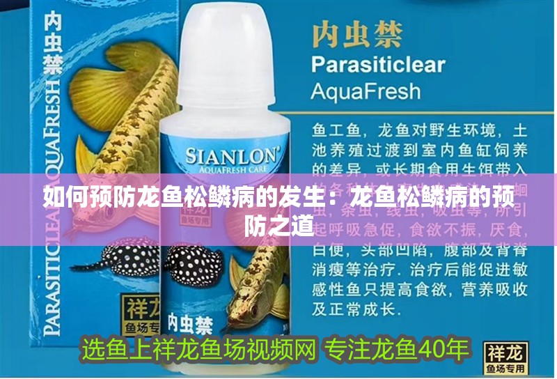 如何預(yù)防龍魚松鱗病的發(fā)生：龍魚松鱗病的預(yù)防之道