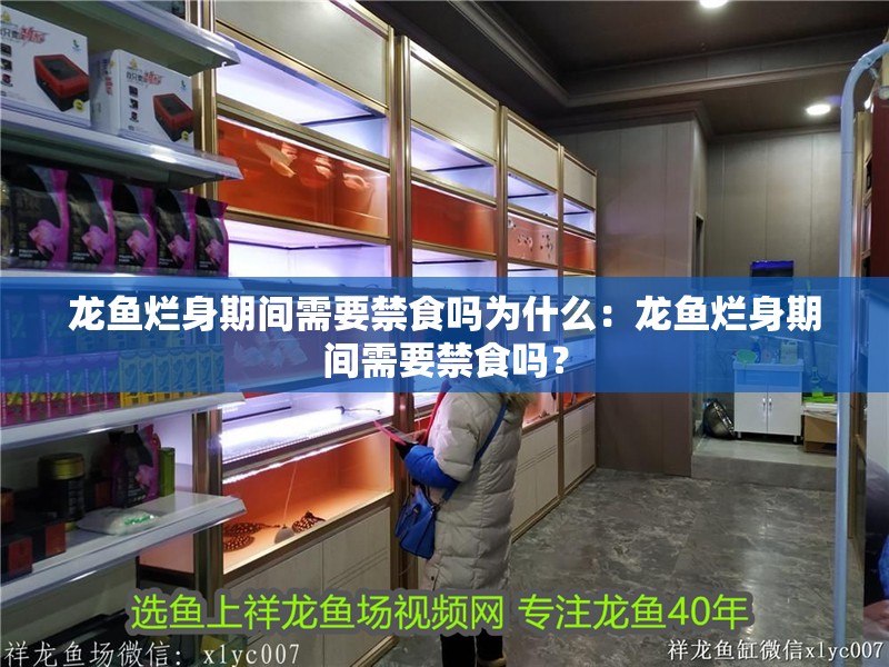 龍魚爛身期間需要禁食嗎為什么：龍魚爛身期間需要禁食嗎？ 龍魚爛身期間需要禁食嗎為什么：龍魚爛身期間需要禁食嗎？ 水族問答