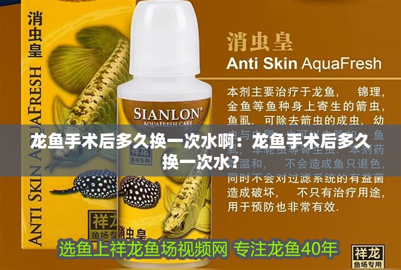 龍魚手術后多久換一次水啊：龍魚手術后多久換一次水？