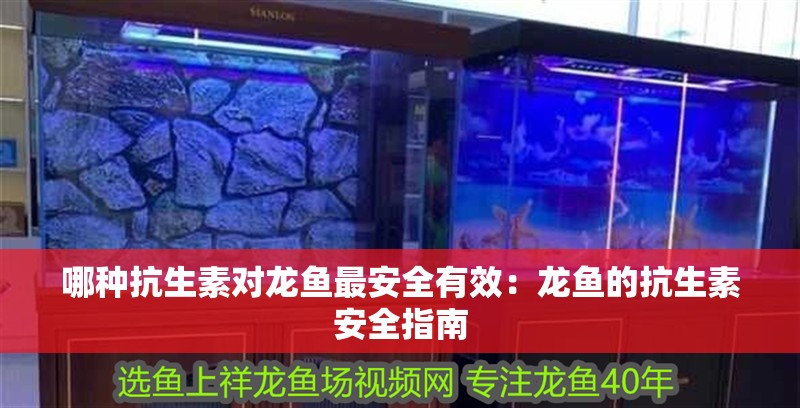 哪種抗生素對龍魚最安全有效：龍魚的抗生素安全指南 哪種抗生素對龍魚最安全有效：龍魚的抗生素安全指南 水族問答