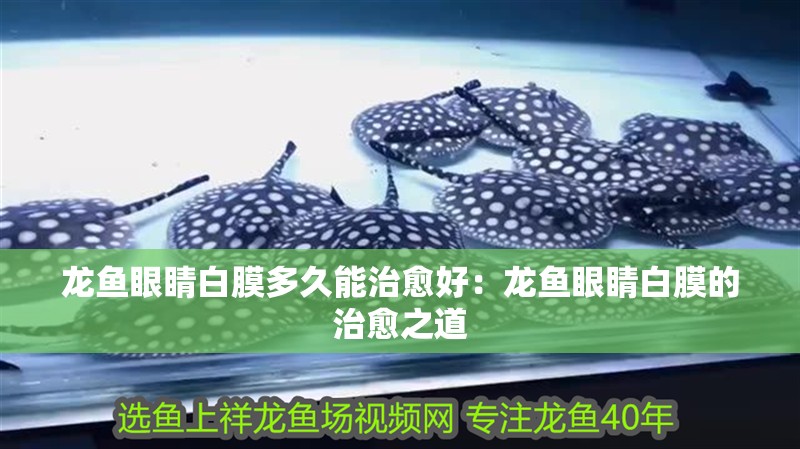 龍魚眼睛白膜多久能治愈好：龍魚眼睛白膜的治愈之道