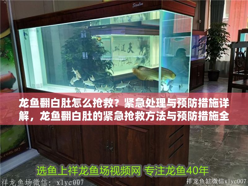 龍魚翻白肚怎么搶救？緊急處理與預防措施詳解，龍魚翻白肚的緊急搶救方法與預防措施全解析