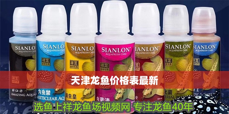 天津龍魚價格表最新