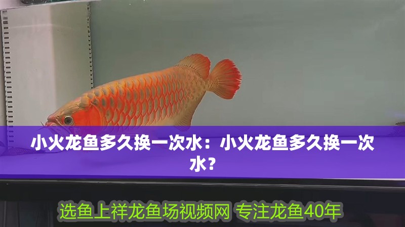 小火龍魚多久換一次水：小火龍魚多久換一次水？