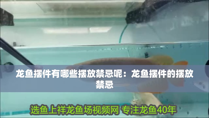 龍魚擺件有哪些擺放禁忌呢：龍魚擺件的擺放禁忌