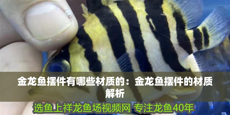 金龍魚擺件有哪些材質的：金龍魚擺件的材質解析