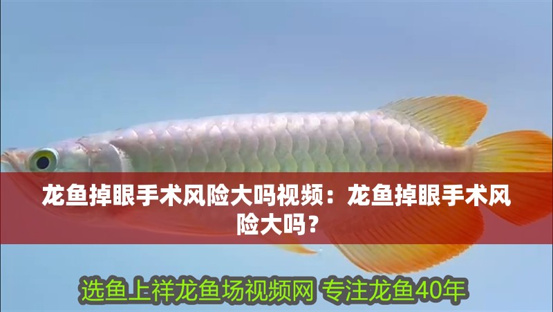 龍魚掉眼手術風險大嗎視頻：龍魚掉眼手術風險大嗎？