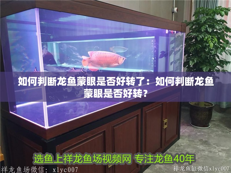 如何判斷龍魚蒙眼是否好轉了：如何判斷龍魚蒙眼是否好轉？