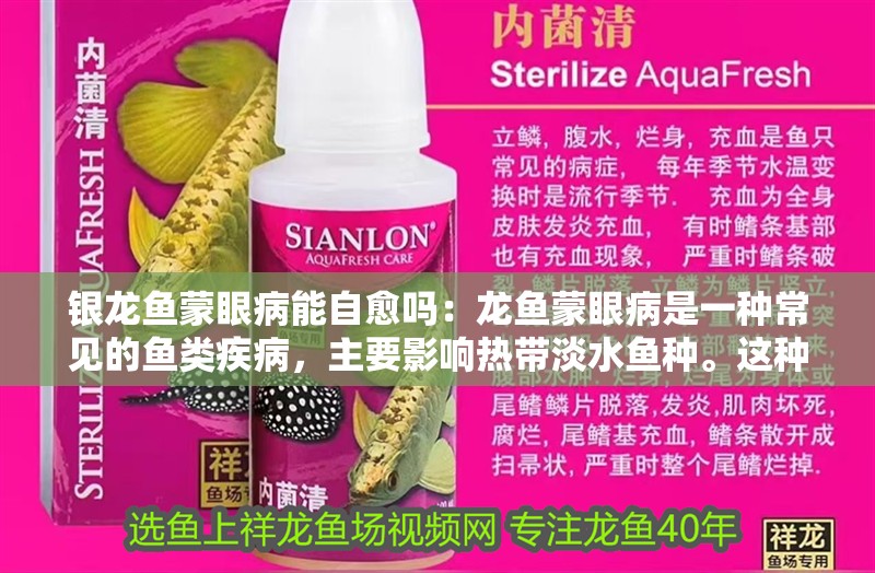 銀龍魚蒙眼病能自愈嗎：龍魚蒙眼病是一種常見的魚類疾病，主要影響熱帶淡水魚種。這種疾病的癥狀通常表現為眼部的異常，嚴重時會影響魚的整體健康和生存能力。本文將詳細介紹銀龍魚蒙眼病的癥狀，并提供一些預防和治療的建議