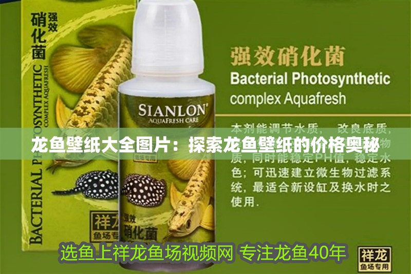 龍魚壁紙大全圖片：探索龍魚壁紙的價格奧秘