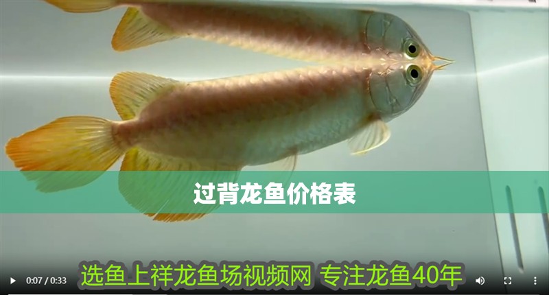 魚缸用增氧泵價格是多少:魚缸增氧機(jī)-xtrac增氧機(jī)-xtrac增氧機(jī) 過背龍魚價格表 龍魚百科 過背龍魚價格表 過背龍魚價格表 龍魚百科