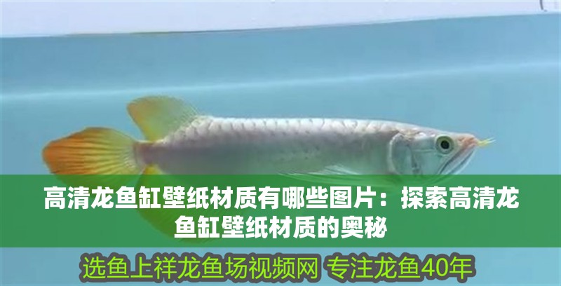 高清龍魚缸壁紙材質有哪些圖片：探索高清龍魚缸壁紙材質的奧秘