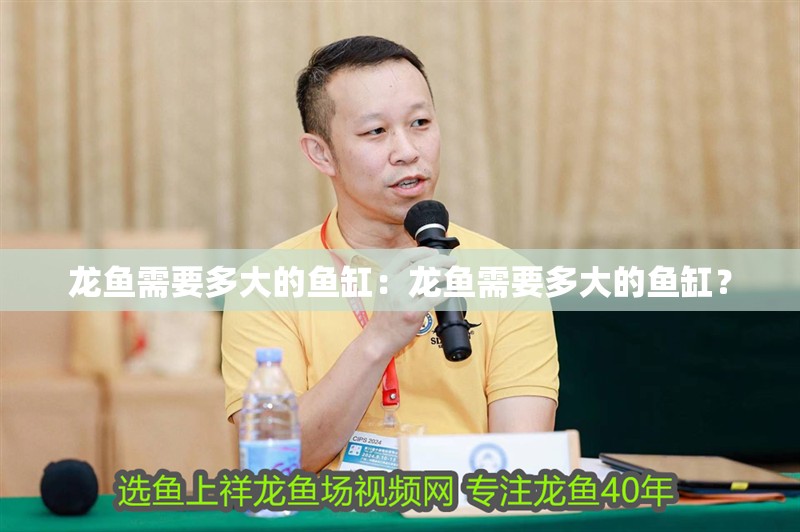 龍魚需要多大的魚缸：龍魚需要多大的魚缸？