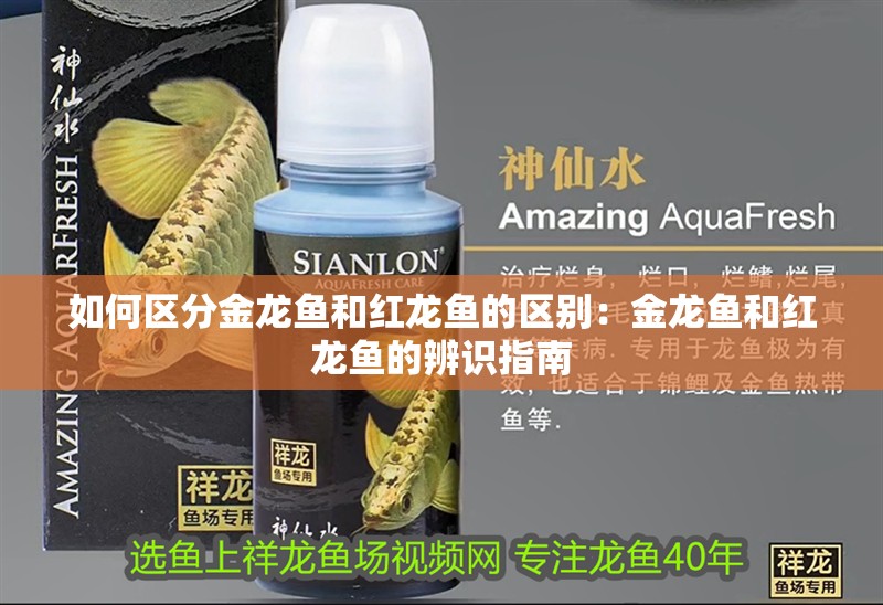 如何區分金龍魚和紅龍魚的區別：金龍魚和紅龍魚的辨識指南