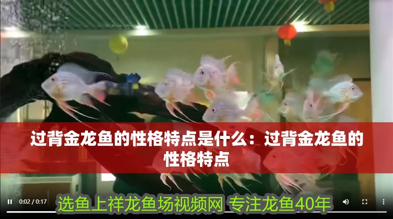 過背金龍魚的性格特點是什么：過背金龍魚的性格特點 過背金龍魚的性格特點是什么：過背金龍魚的性格特點 水族問答