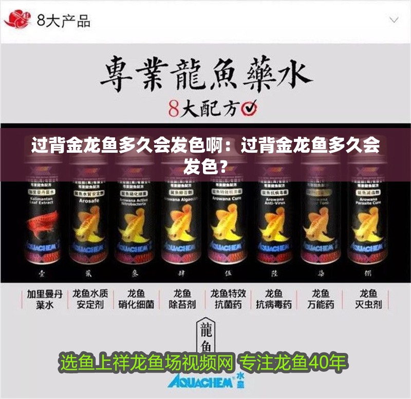 過背金龍魚多久會發色啊：過背金龍魚多久會發色？