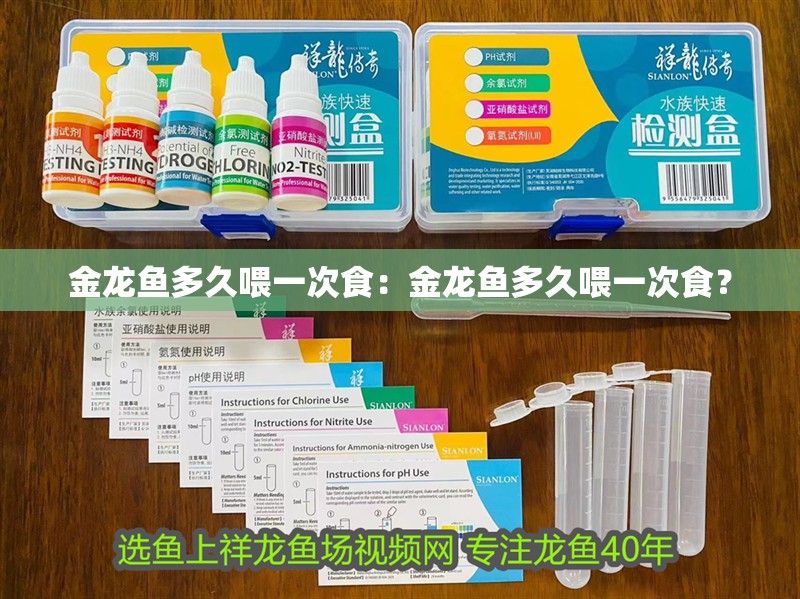 金龍魚多久喂一次食：金龍魚多久喂一次食？