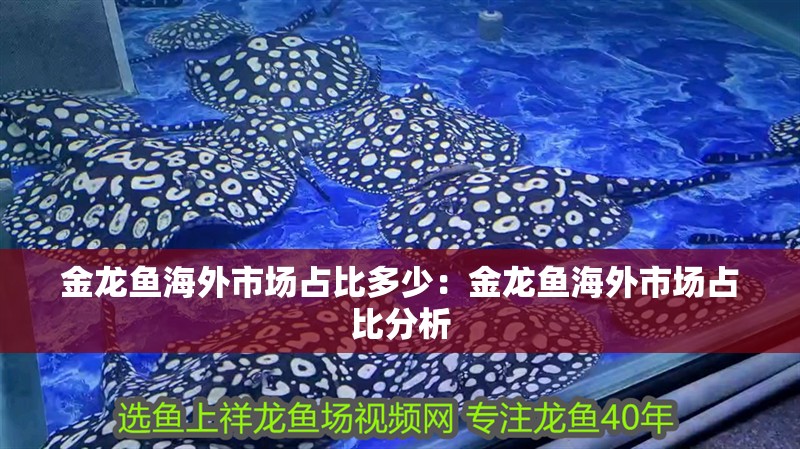 金龍魚海外市場占比多少：金龍魚海外市場占比分析