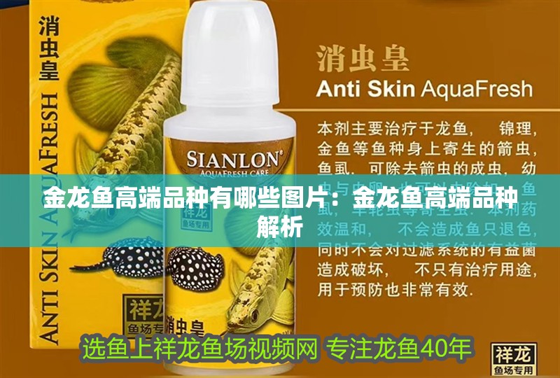金龍魚高端品種有哪些圖片：金龍魚高端品種解析