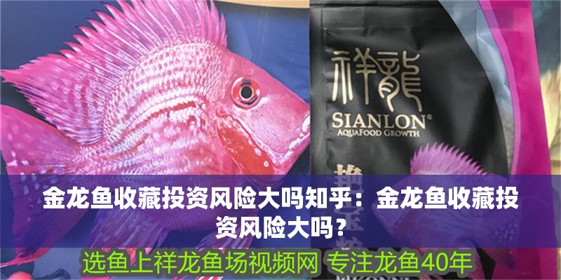 金龍魚收藏投資風險大嗎知乎：金龍魚收藏投資風險大嗎？