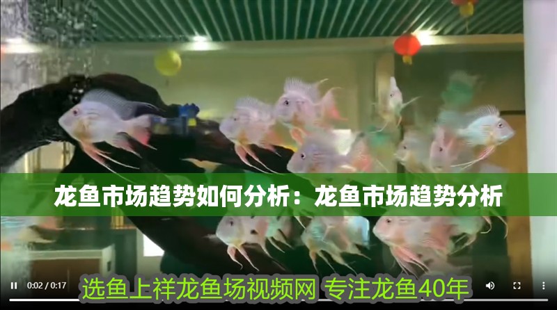 龍魚市場趨勢如何分析：龍魚市場趨勢分析