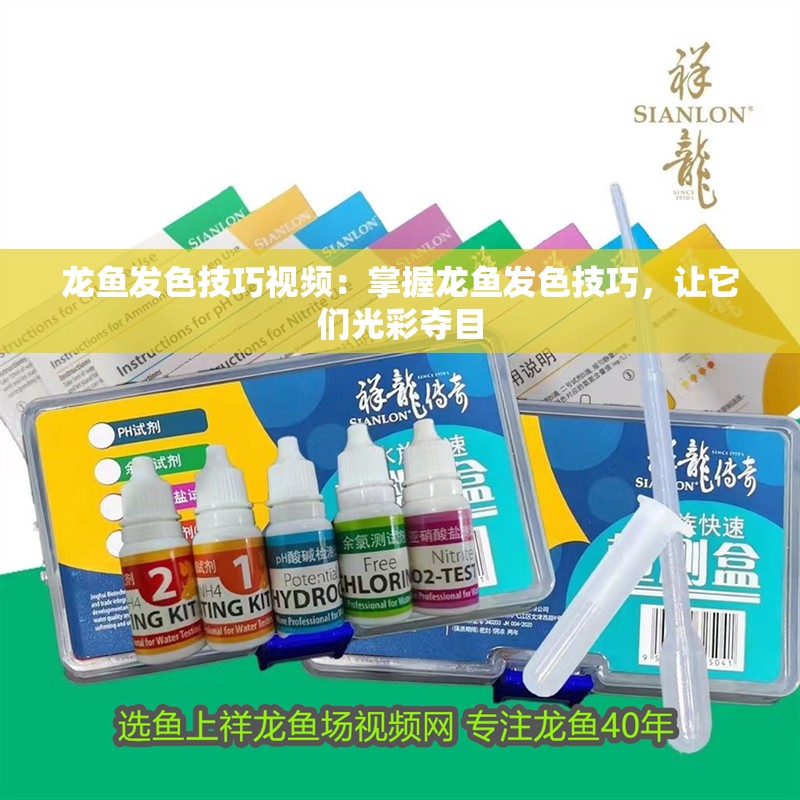 龍魚發色技巧視頻：掌握龍魚發色技巧，讓它們光彩奪目