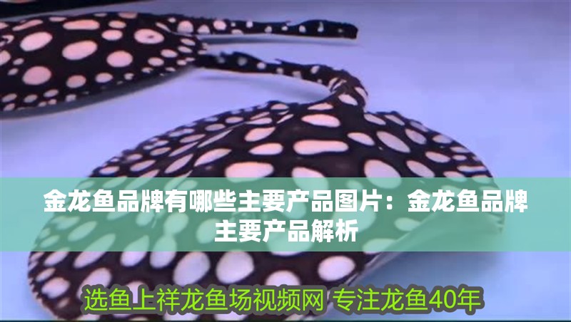 金龍魚品牌有哪些主要產品圖片：金龍魚品牌主要產品解析