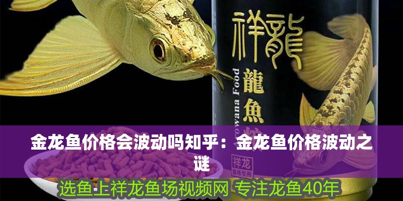 金龍魚價格會波動嗎知乎：金龍魚價格波動之謎