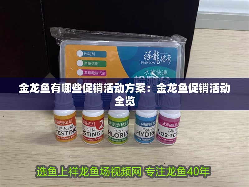 金龍魚有哪些促銷活動方案：金龍魚促銷活動全覽