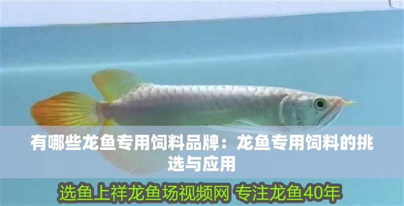 有哪些龍魚專用飼料品牌：龍魚專用飼料的挑選與應(yīng)用
