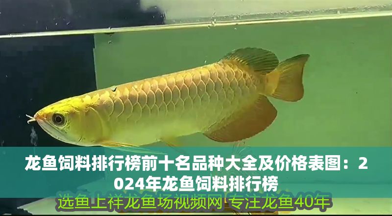 龍魚飼料排行榜前十名品種大全及價格表圖：2024年龍魚飼料排行榜