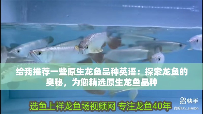 給我推薦一些原生龍魚品種英語：探索龍魚的奧秘，為您精選原生龍魚品種