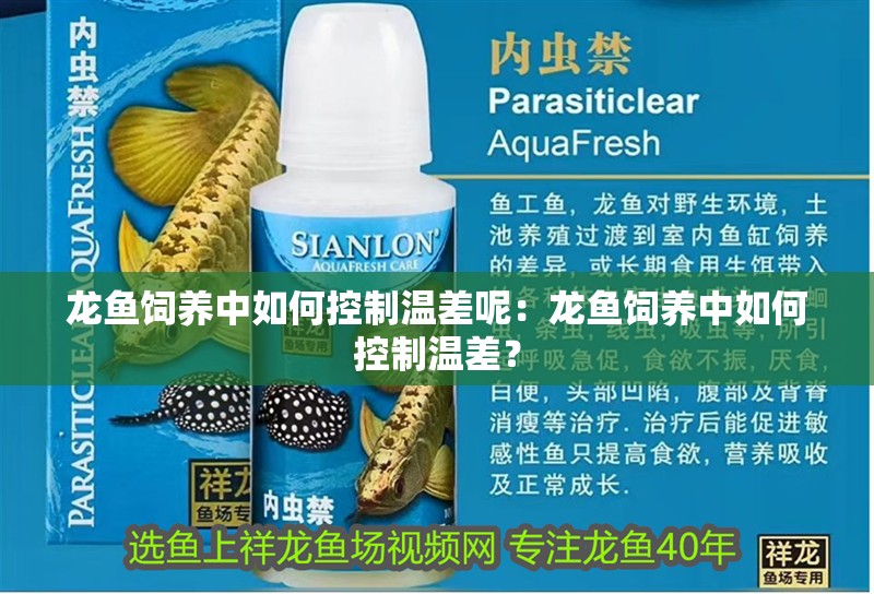 龍魚飼養(yǎng)中如何控制溫差呢：龍魚飼養(yǎng)中如何控制溫差？
