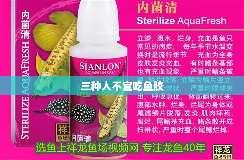 三種人不宜吃魚膠