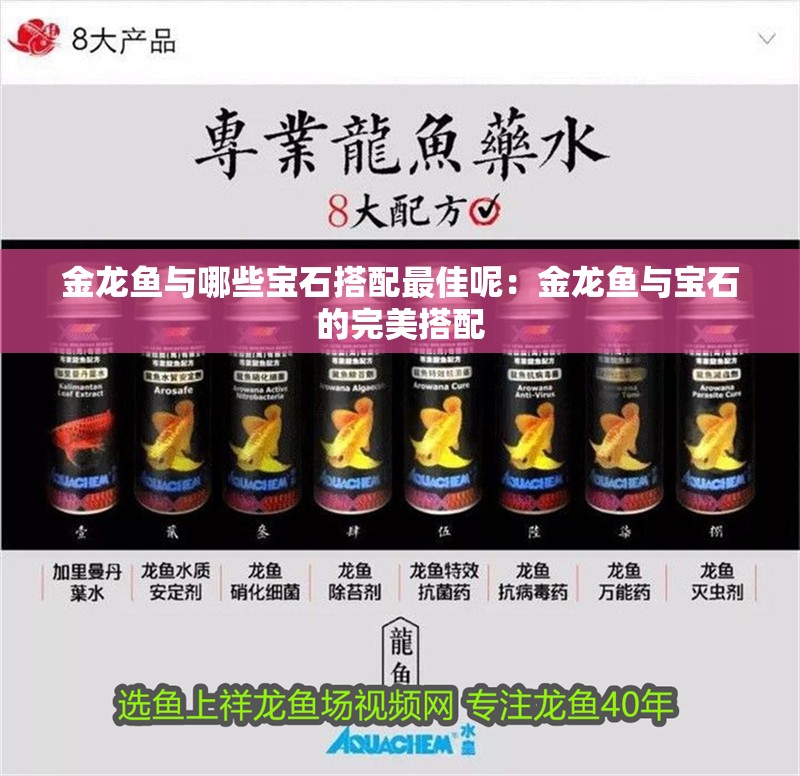 金龍魚與哪些寶石搭配最佳呢：金龍魚與寶石的完美搭配
