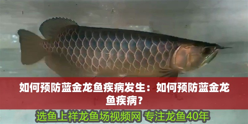 如何預防藍金龍魚疾病發生：如何預防藍金龍魚疾病？