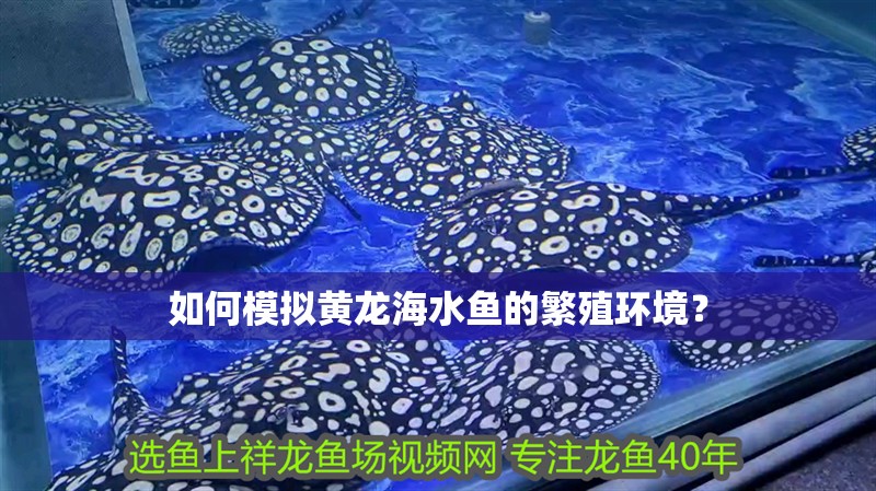 如何模擬黃龍海水魚的繁殖環(huán)境？