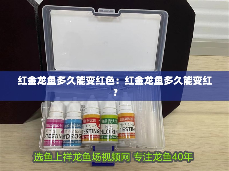 紅金龍魚多久能變紅色：紅金龍魚多久能變紅？