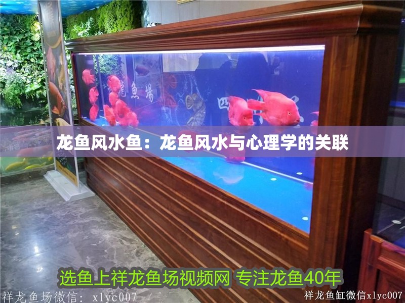 龍魚風水魚：龍魚風水與心理學的關聯