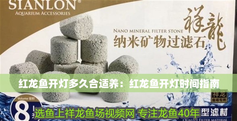 紅龍魚開燈多久合適養：紅龍魚開燈時間指南