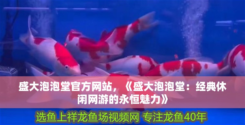 盛大泡泡堂官方網站，《盛大泡泡堂：經典休閑網游的永恒魅力》 盛大泡泡堂官方網站，《盛大泡泡堂：經典休閑網游的永恒魅力》 龍魚論壇