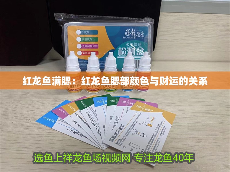 紅龍魚滿腮：紅龍魚腮部顏色與財運的關系
