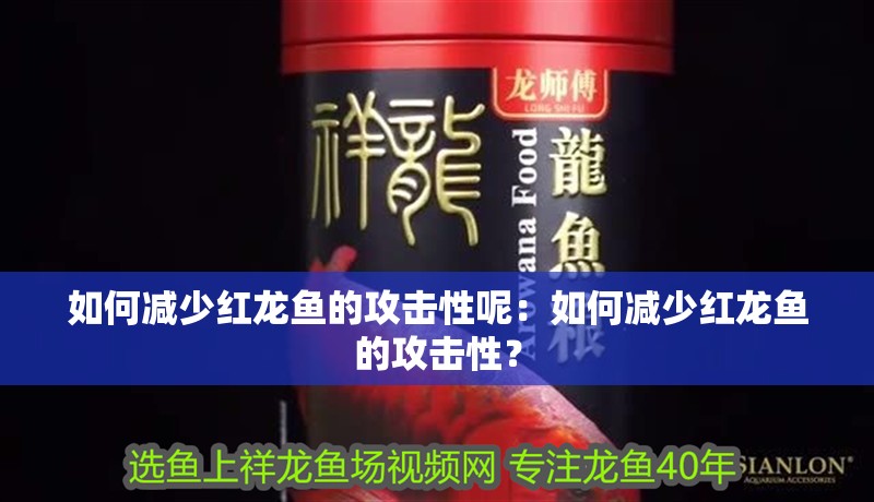 如何減少紅龍魚的攻擊性呢：如何減少紅龍魚的攻擊性？