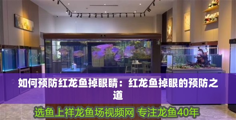 如何預(yù)防紅龍魚(yú)掉眼睛：紅龍魚(yú)掉眼的預(yù)防之道