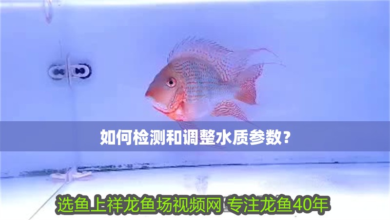 如何檢測和調整水質參數？