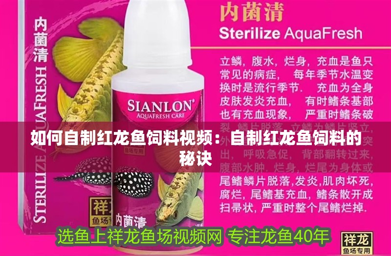 如何自制紅龍魚飼料視頻：自制紅龍魚飼料的秘訣