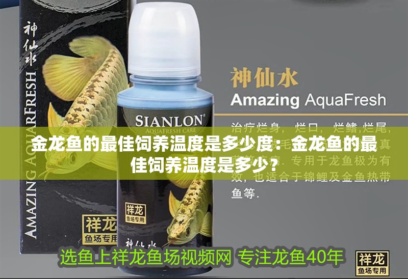 金龍魚的最佳飼養(yǎng)溫度是多少度：金龍魚的最佳飼養(yǎng)溫度是多少？