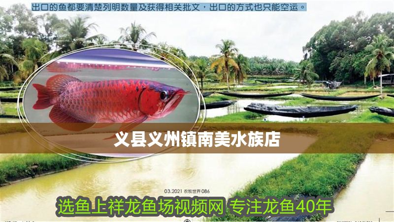 義縣義州鎮南美水族店 義縣義州鎮南美水族店 全國水族館企業名錄 第1張