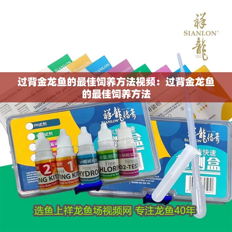 過背金龍魚的最佳飼養方法視頻：過背金龍魚的最佳飼養方法